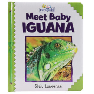 Active Minds Explorers: Meet Baby Iguana Sequoia Children's Publishing Book