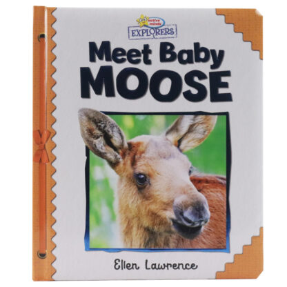Active Minds Explorers: Meet Baby Moose Sequoia Children's Publishing Book