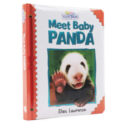 Active Minds Explorers: Meet Baby Panda Sequoia Children's Publishing Book