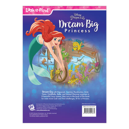 Disney Princess Dream Big Princess (School & Library Edition) Sequoia KIds Media Book